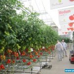 Centrum Doświadczalne De Ruiter