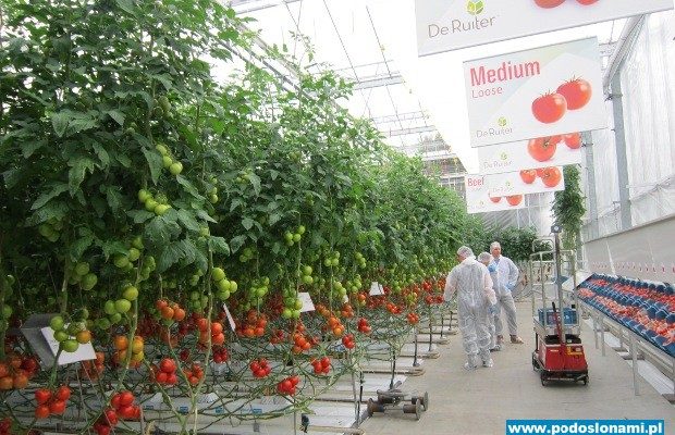 Centrum Doświadczalne De Ruiter