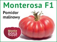 monterosa