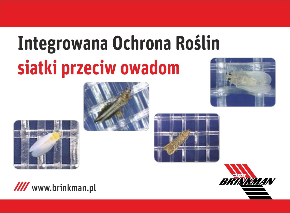 Brinkman_siatki_p_owadom 620x460px