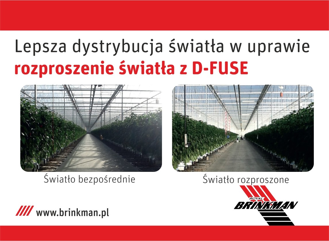 brinkman_dyfuse 97x71mm