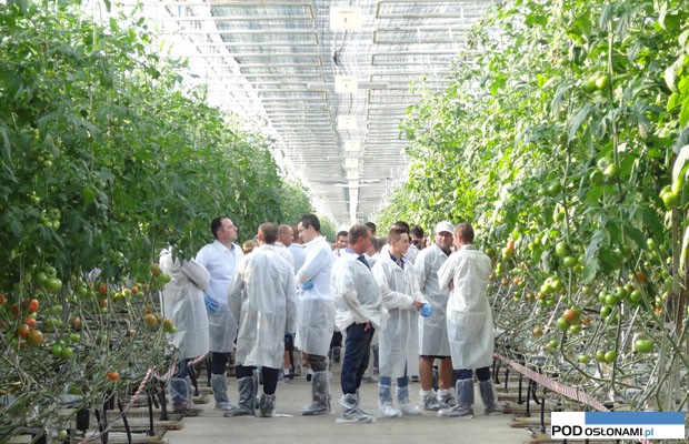 Edamso f1 w Brudzewie