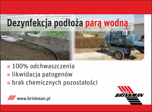 dezynfekcja parą 590x438px