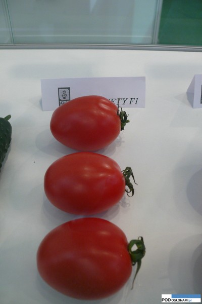 Millonety F1 pomidor śliwkokształtny