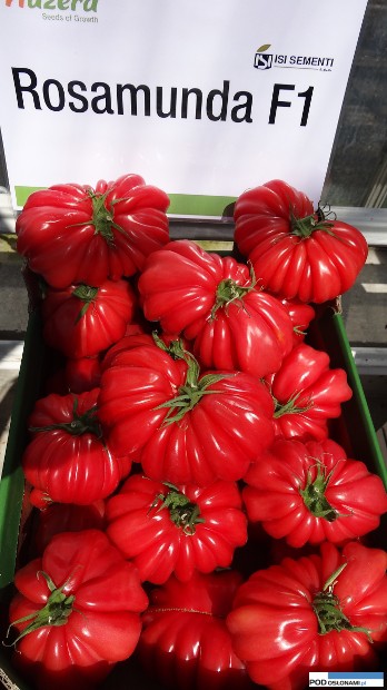 Rosamunda bawole serce