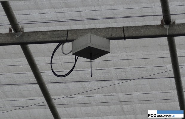 element systemu Nomad