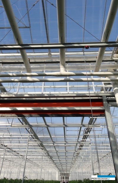 Starsza szklarnia pokryta jest zwykłym szkłem, nowsza (w głębi) szkłem dyfuzyjnym