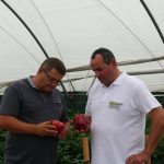 Marcin Niedobylski (doradcza uprawowy) oraz Sławomir Mechacki z firmy HM.Clause podczas Dnia Otwartego w gospodarstwie Andrzeja Krzywkowskiego