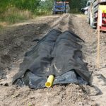 Firma Haygrove prezentowała rozwiązanie pozwalające na bezglebową uprawę papryki