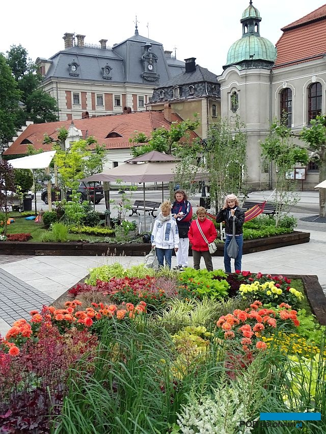 Ogrody Daisy_Pszczyna_Daisy-Days-2018_Plantpol