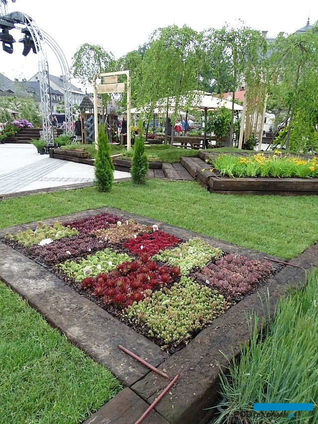 Ogrody Daisy_Pszczyna_Daisy-Days-2018_Parcvhanscy