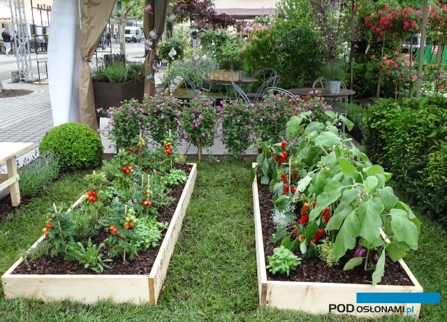 Ogrody Daisy_Pszczyna_Daisy-Days-2018_Hajdrowski