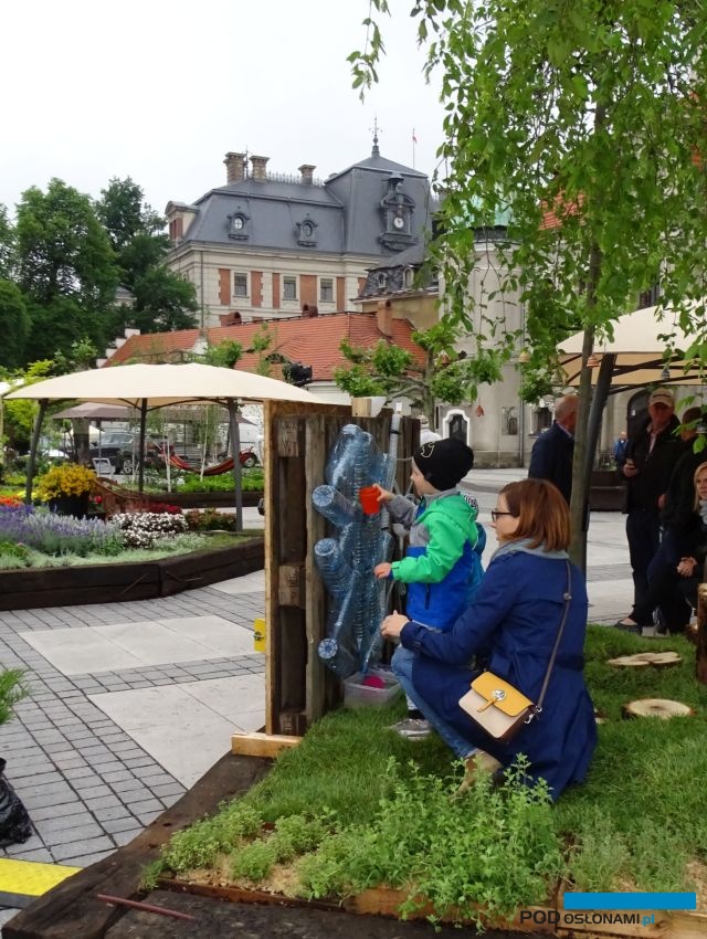 Ogrody Daisy_Pszczyna_Daisy-Days-2018_Szkolka-Kostka