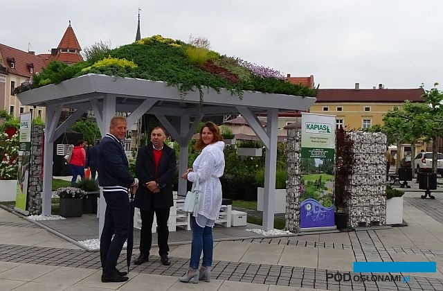 Ogrody Daisy_Pszczyna_Daisy-Days-2018_Wojciech Kapias-w-srodku