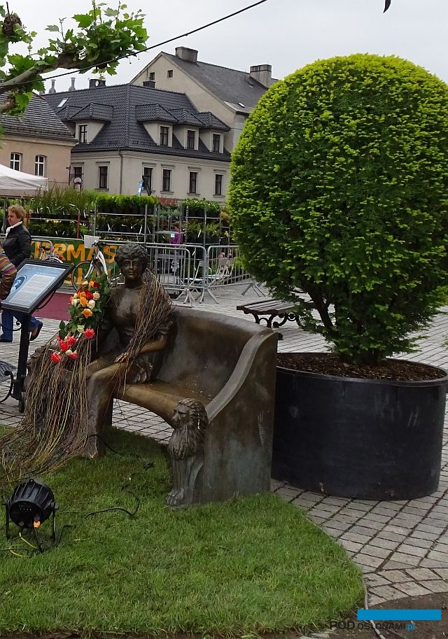 Pszczyna_Daisy-Days-2018