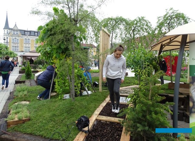 Ogrody Daisy_Pszczyna_Daisy-Days-2018_Ogrod-sensoryczny_G-Kostka