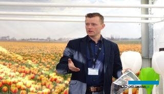 Dirk-Jan Haakman – reprezentuje trzecie pokolenie holenderskiej firmy, której działalność od 80 lat jest związana z tulipanami, fot. A. Cecot