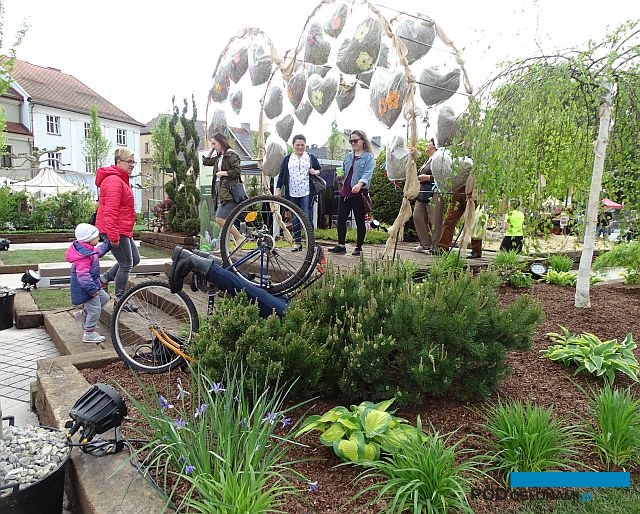 Lejtmotywem tegorocznych Ogrodów Daisy było serce - symbol przyjaźni i miłości