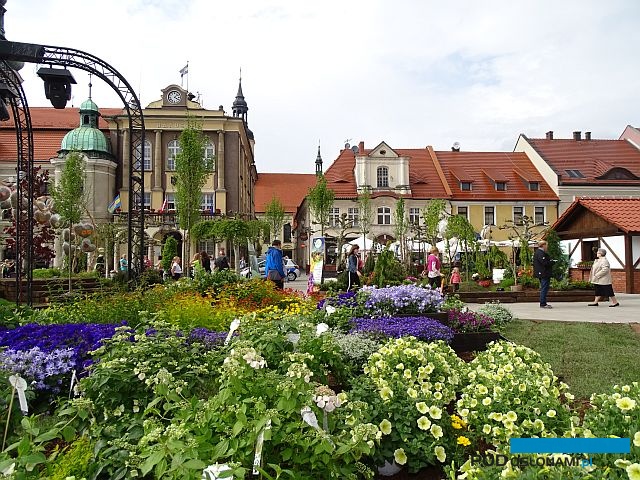 Pokazowe ogrody_Daisy-Days-2019