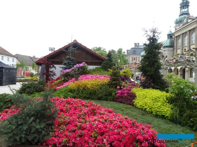 Starannie wykonany i różnorodny ogród grupy Kapias