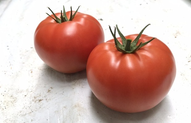 Pomidor czerwony Inspired