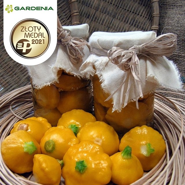 Patison Aureus F1 _Zloty-Medal MTP Gardenia 2021