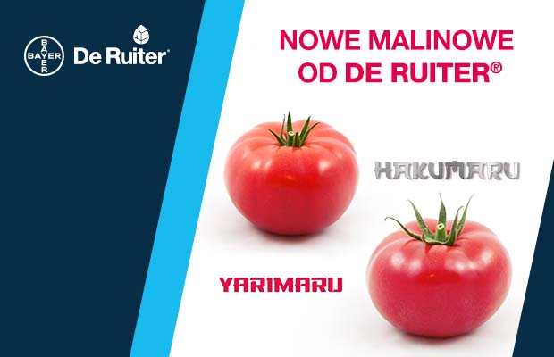 De Ruiter  baner w artykule przegląd pomidorów 2