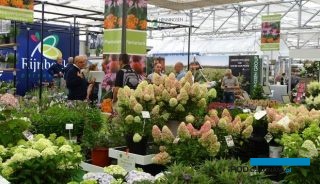Od 2022 r. w Hazerswoude/Boskoop (Holandia) będą się odbywać targi Plantarium|GROEN-Direkt, będące wynikiem współpracy fundacji SVB oraz spółki GROEN-Direkt BV; fot. A. Cecot
