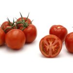pomidor Xaverius