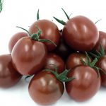 pomidor Chocolina