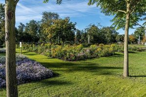 Fragment "Arboretum Green Citiy" widok z 2021 r.), fot. Floriade