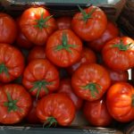 Owoce pomidora wielkoowocowego Eyre w opakowaniu handlowym prezentują się atrakcyjnie
