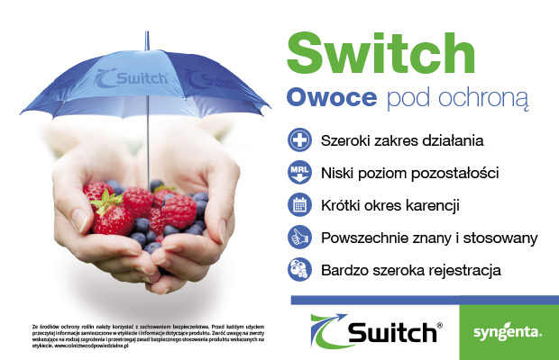 Switch- antraknoza