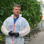 Informacji na temat uprawy odmiany Maturbo w szklarni państwa Młynków udzielał Gabriel Chojnacki z firmy Syngenta