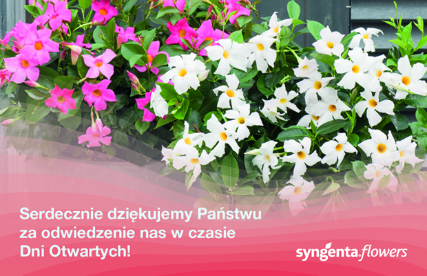 Syngenta Flowers Open Days_po
