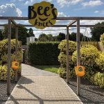 petunia Bee's Knees w Hendrik-Ido-Ambacht, fot. Florensis_week 32