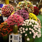 Róże z kenijskiej firmy Dave Flowers_TradeFairAalsmeer2022_fot.A-Cecot