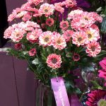 chryzantema_YingYangSmokey-Santini-Deliflor_Zentoo__TradeFairAalsmeer2022_fot.A-Cecot
