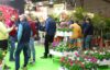 Targi Myplant & Garden 2023, które odbyły się w dniach 22-24 lutego w Mediolanie, cieszyły się dużą frekwencją zwiedzających i dały okazję do rozmów na temat wiosennego sezonu ogrodniczego (fot. A. Cecot)