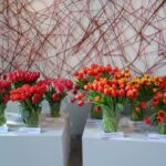 Wystawa Tulipanów w Wilanowie 2023_fot. A-Cecot