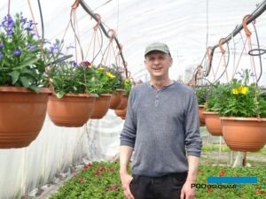 Wojciech Szała z Poznania zajmuje się sezonową produkcją roślin ozdobnych (z których najważniejsze są gatunki balkonowo-rabatowe) i ich hurtową sprzedażą; fot. A. Cecot