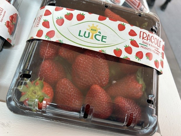 punnet na truskawki