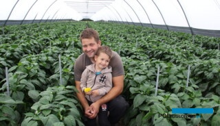 Mateusz Gałek z Bąkowa zajmuje się uprawą papryki i fasoli szparagowej (syn również zaczyna się interesować ogrodnictwem:)