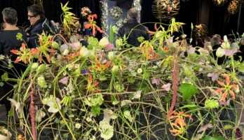 Florystyka i roślinno-modowe trendy stanowiły ważną i stojącą na wysokim poziomie część targów Myplant & Garden 2024 (fot. A. Cecot)