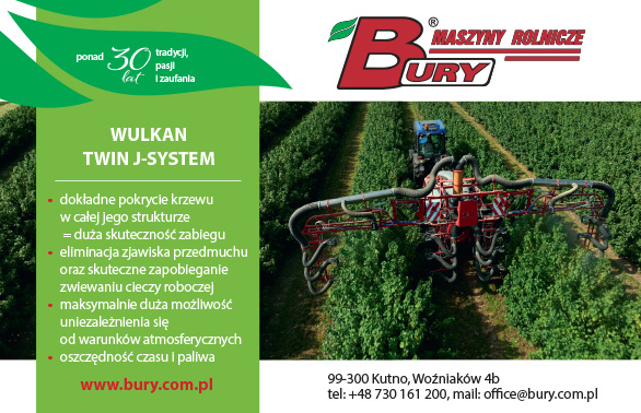 Bury - art. Porzeczki