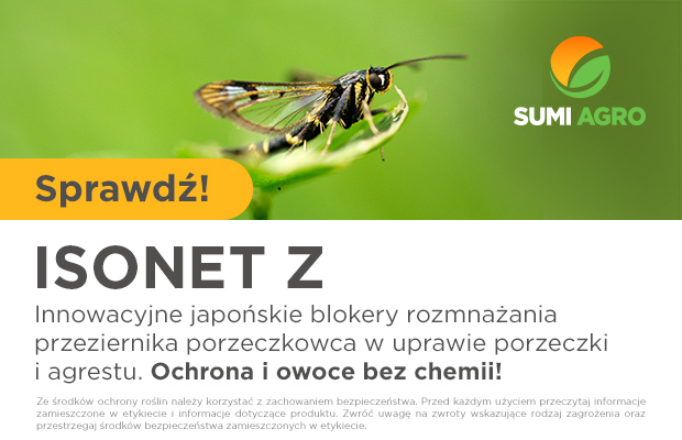 Sumi Agro - Porzeczki Izonet