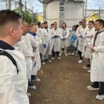 Bioracjonalne programy zwalczania szkodników (fot. D. ŁB)