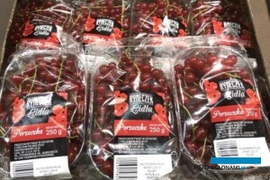 Porzeczka czerwona wymaga odpowiedniego pakowania w zależności od rynku zbytu