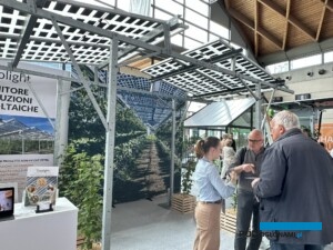 Panele PV są coraz częściej promowanym rozwiązaniem do osłaniania borówki