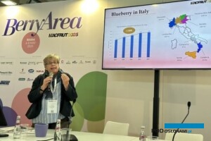 Prof. Cristiana Peano z Uniwersytetu w Turynie porównała możliwości uprawy w pojemnikach względem uprawy polowej